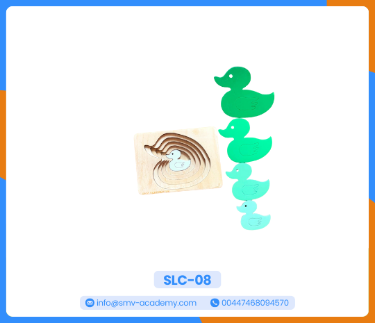 بازل بطة متعدد الطبقات